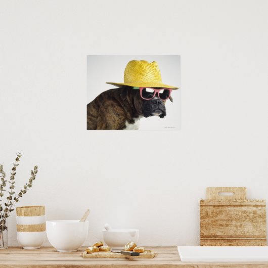 Boxer Hund mit Hut und Brille Poster (Küche)