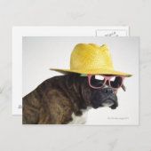 Boxer Hund mit Hut und Brille Postkarte (Vorne/Hinten)