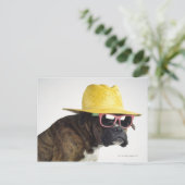 Boxer Hund mit Hut und Brille Postkarte (Stehend Vorderseite)
