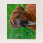 Boxer Hund Puzzle (Vertikal)