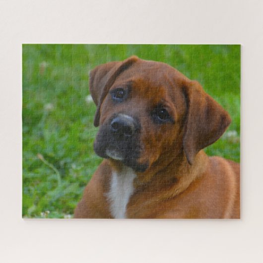 Boxer Hund Puzzle (Horizontal)
