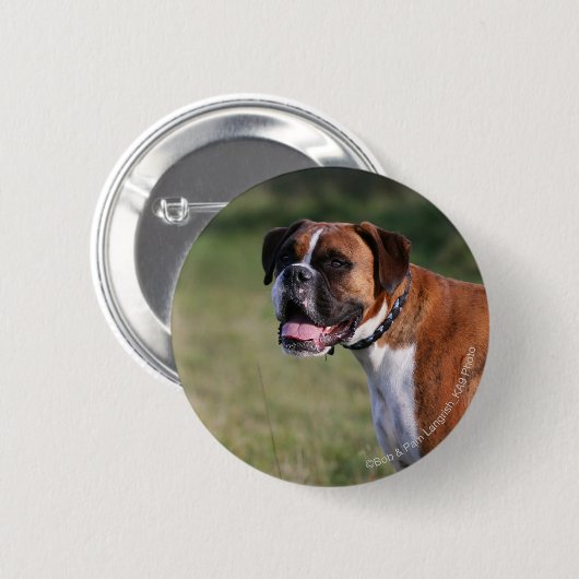Boxer-Hund stehend Button (Vorne & Hinten)
