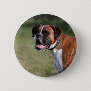 Boxer-Hund stehend Button