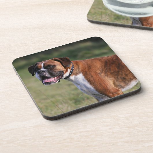 Boxer-Hund stehend Getränkeuntersetzer (Linke Seite)