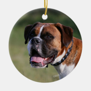 Boxer-Hund stehend Keramikornament