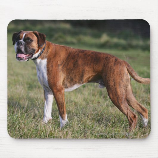 Boxer-Hund stehend Mousepad (Vorne)