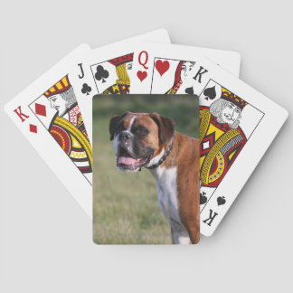Boxer-Hund stehend Spielkarten