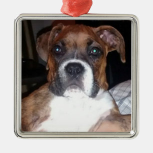 BOXER-HUND TREUER BEGLEITER Schmuck Silbernes Ornament