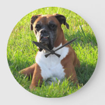 Boxer - Hund - Wall-Uhr