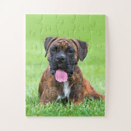 Boxer-Hündchen Puzzle