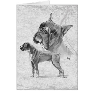 Boxer-Hunde