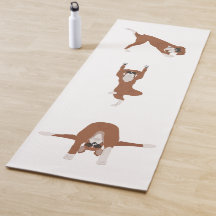 Boxer-Hunde-Yoga-Pose