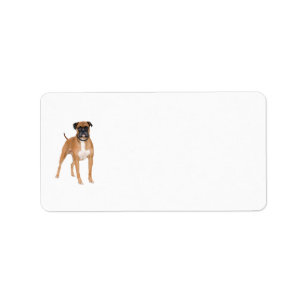 Boxer-Hundeaufkleber Adressaufkleber