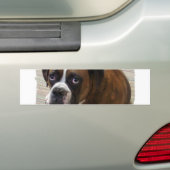 Boxer-HundeAutoaufkleber Autoaufkleber (Auf Auto)