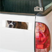 Boxer-HundeAutoaufkleber Autoaufkleber (Auf Lkw)