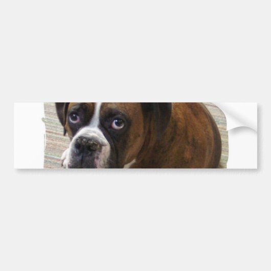 Boxer-HundeAutoaufkleber Autoaufkleber (Vorne)
