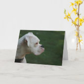 Boxer-HundeFoto-Gruß-Karte "Tysons" weiße Karte (Gelbe Blume)