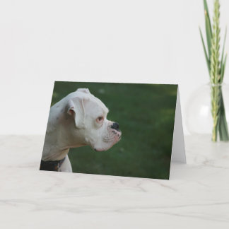 Boxer-HundeFoto-Gruß-Karte "Tysons" weiße Karte