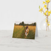 Boxer-Hundegruß-Karte Karte (Gelbe Blume)