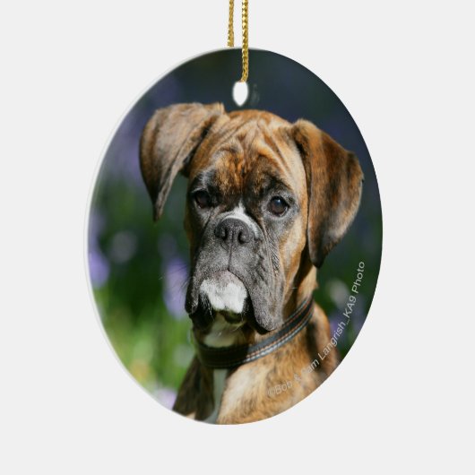Boxer-HundeHeadshot Keramikornament (Rechts)
