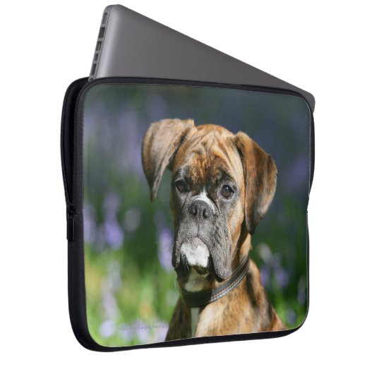 Boxer-HundeHeadshot Laptopschutzhülle (Vorne Rechts)