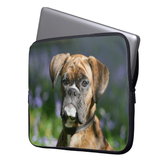 Boxer-HundeHeadshot Laptopschutzhülle (Vorderseite Links)