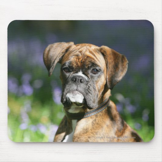 Boxer-HundeHeadshot Mousepad (Vorne)