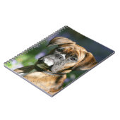 Boxer-HundeHeadshot Notizblock (Linke Seite)