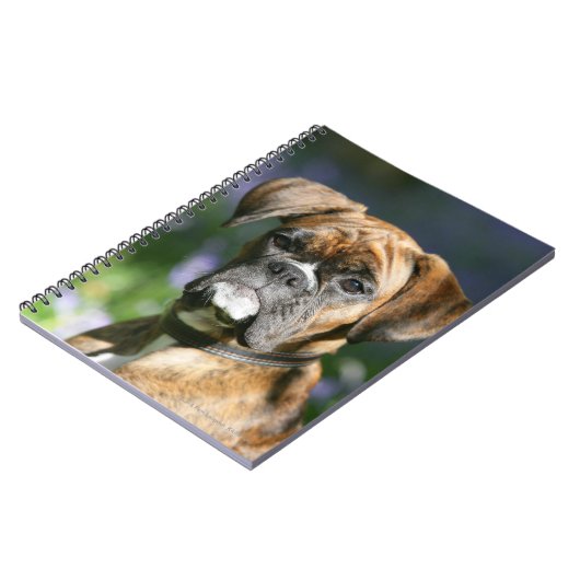 Boxer-HundeHeadshot Notizblock (Linke Seite)