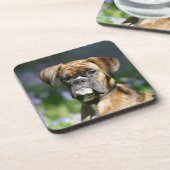 Boxer-HundeHeadshot Untersetzer (Linke Seite)
