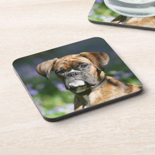 Boxer-HundeHeadshot Untersetzer (Linke Seite)