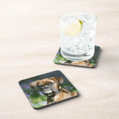 Boxer-HundeHeadshot Untersetzer (Rechte Seite)