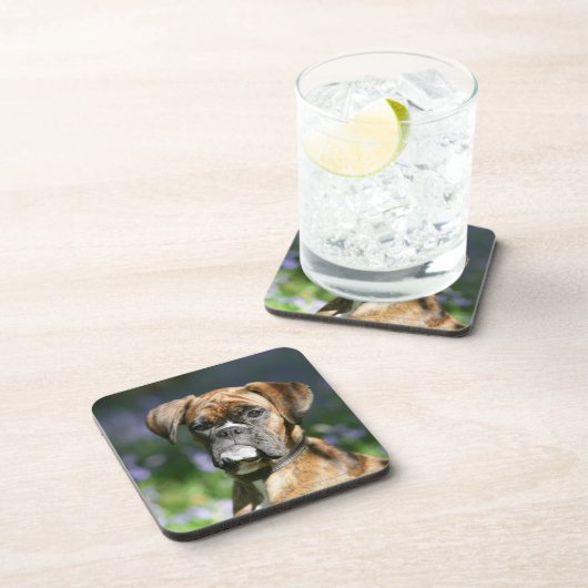 Boxer-HundeHeadshot Untersetzer (Rechte Seite)