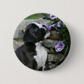 Boxer-Hundekeuchen Button (Vorderseite)