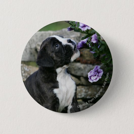 Boxer-Hundekeuchen Button (Vorderseite)