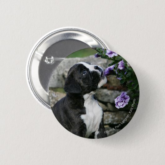 Boxer-Hundekeuchen Button (Vorne & Hinten)