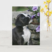 Boxer-Hundekeuchen Karte (Gelbe Blume)