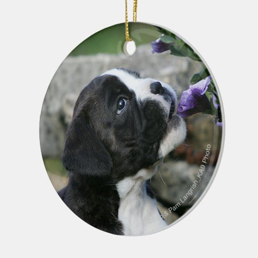 Boxer-Hundekeuchen Keramikornament (Links)