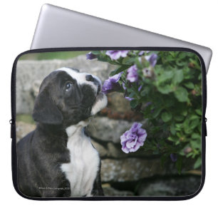 Boxer-Hundekeuchen Laptopschutzhülle