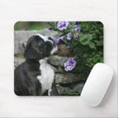 Boxer-Hundekeuchen Mousepad (Mit Mouse)
