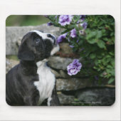 Boxer-Hundekeuchen Mousepad (Vorne)