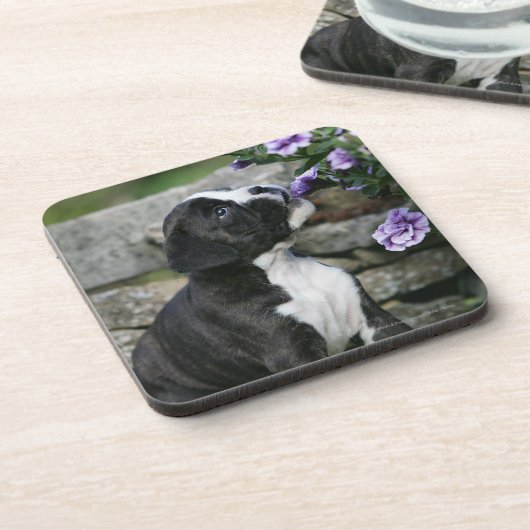 Boxer-Hundekeuchen Untersetzer (Linke Seite)