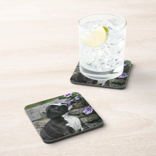 Boxer-Hundekeuchen Untersetzer (Rechte Seite)