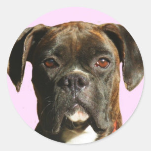 Boxer-Hundekleber Runder Aufkleber