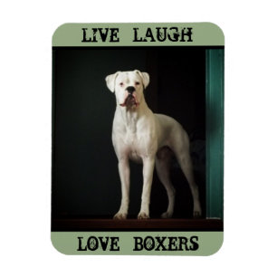 Boxer-HundeKühlschrank-Magnet Magnet