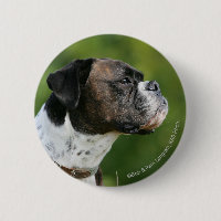 Boxer-Hundeprofil