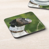 Boxer-Hundeprofil Getränkeuntersetzer (Linke Seite)