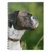 Boxer-Hundeprofil Notizblock (Vorderseite)