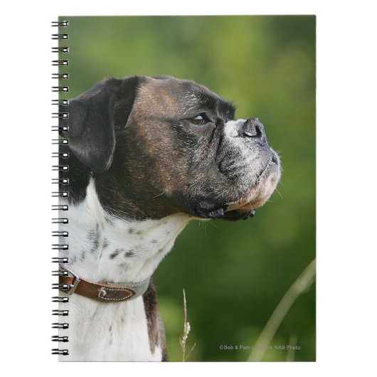 Boxer-Hundeprofil Notizblock (Vorderseite)