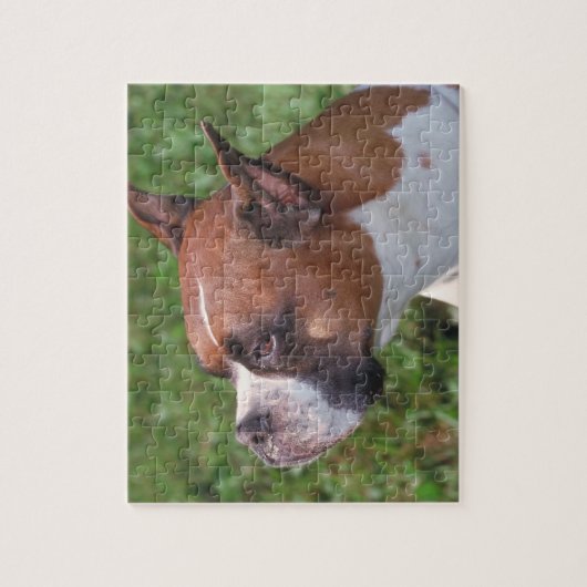 Boxer-Hundepuzzlespiel Puzzle (Vertikal)